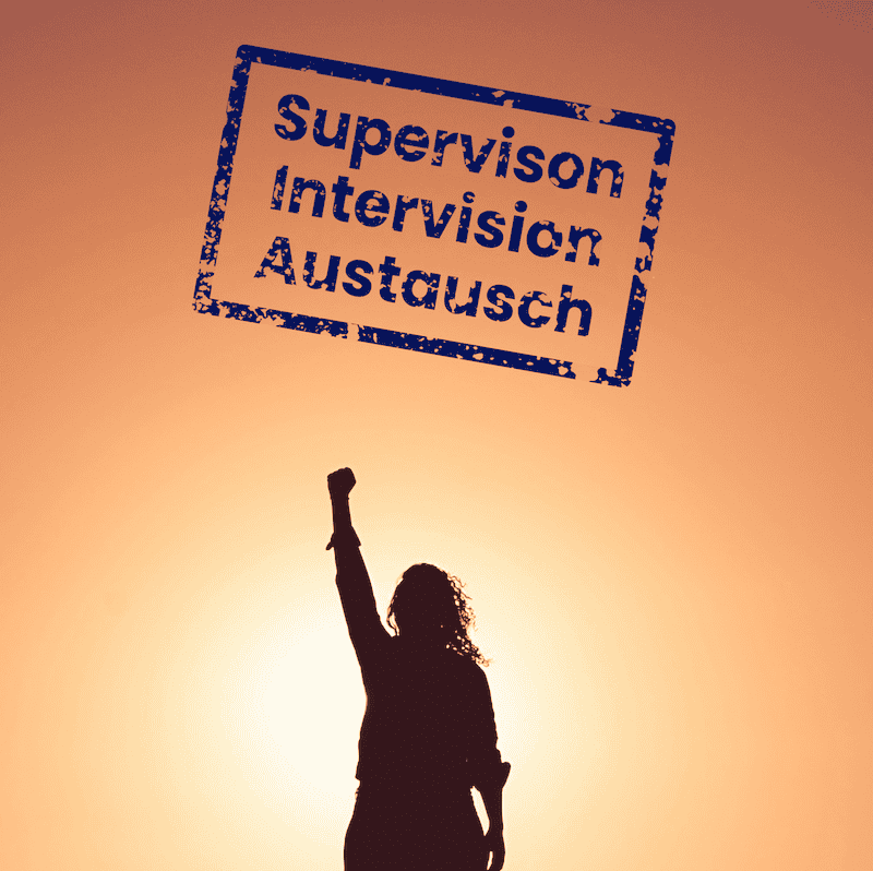 Online Workshop 2026-06-30 - Termin 5 „PCM - die Superpower für Coachingprozesse“ – Bild 1